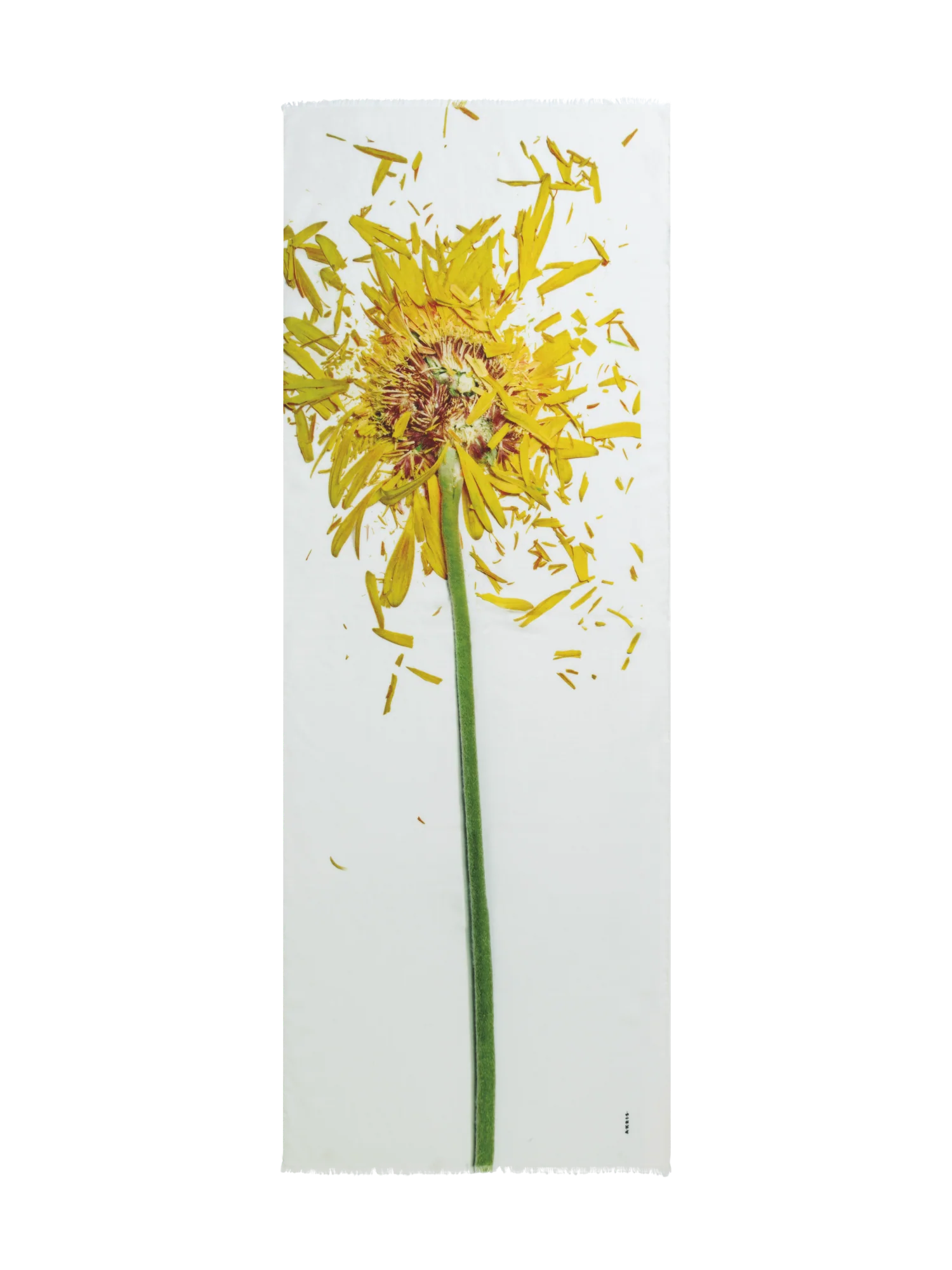 Scarf Cashmere Silk Scattered Calendula Print
