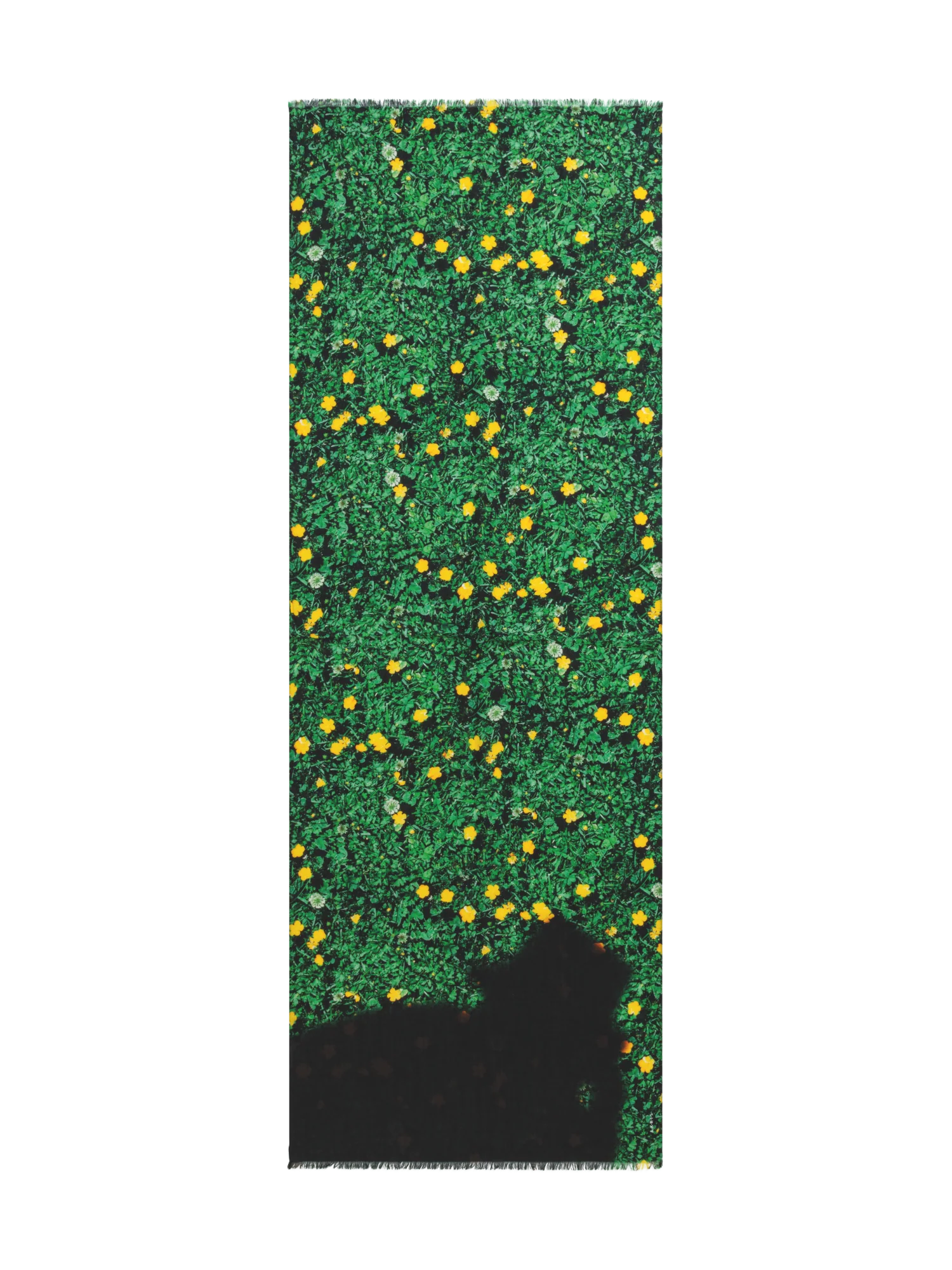 Cashmere Silk Scarf with Buttercups Print