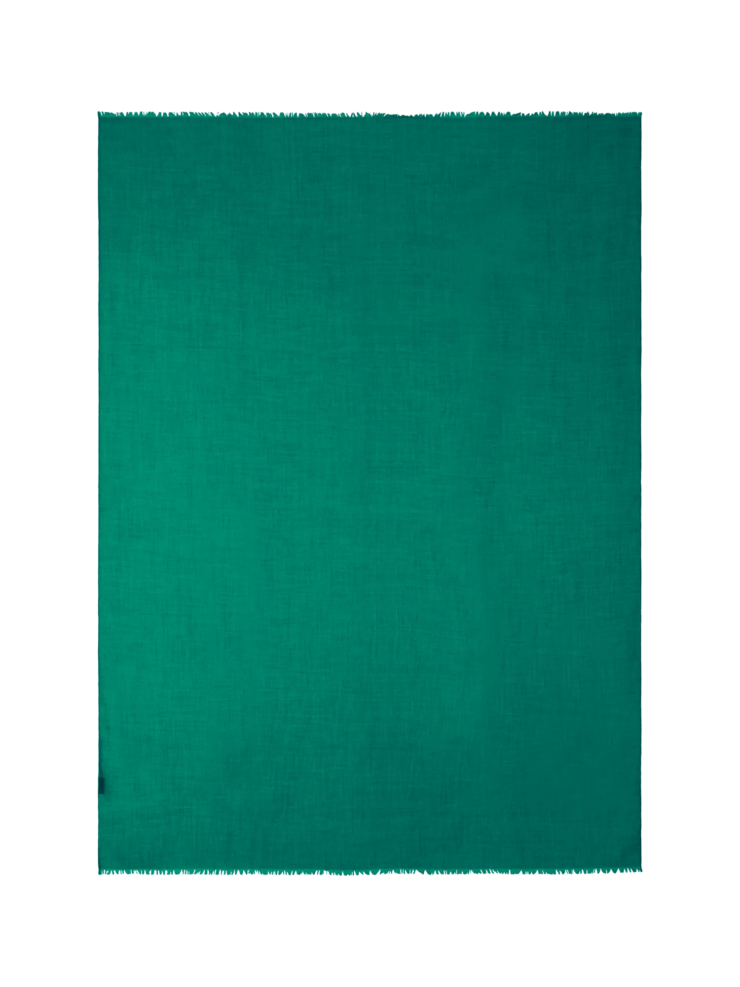 Scarf in Cashmere Silk