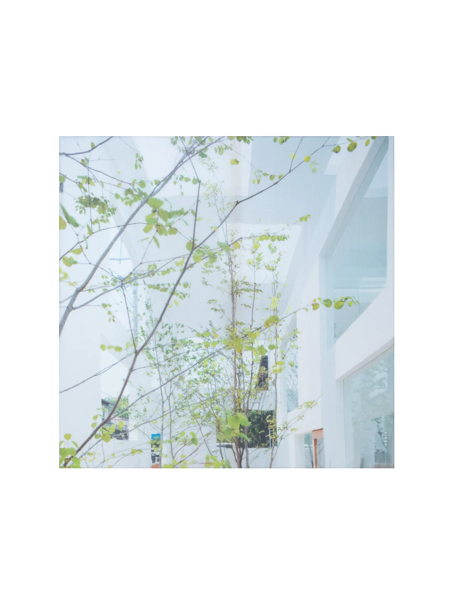 Cotton Silk Scarf with House N Trees Print