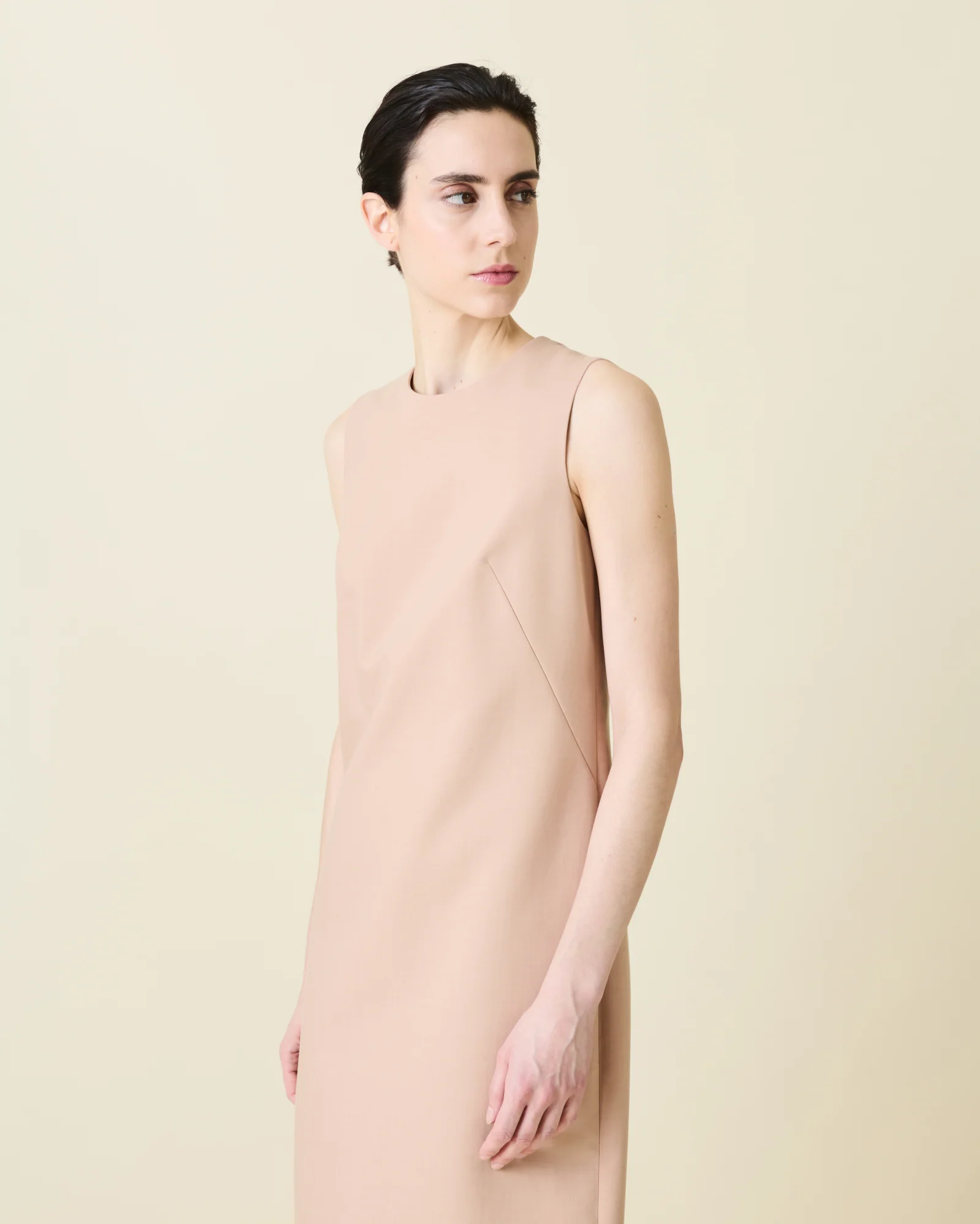 Sheath Dress in Cotton Silk Double-Face - Image 5