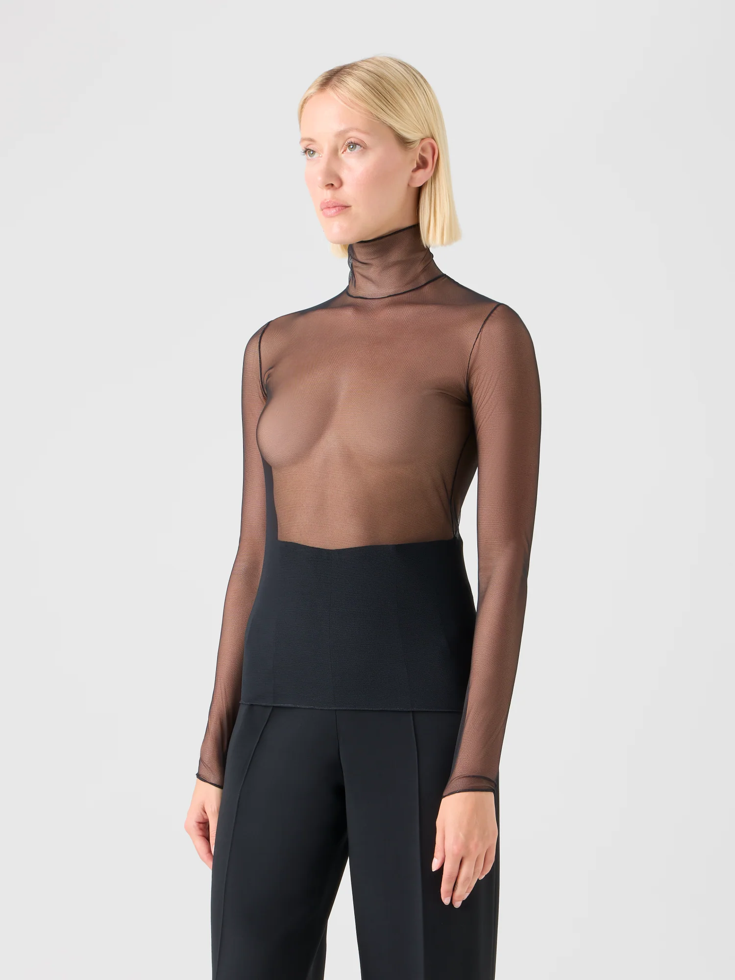 Sheer Fitted Mock Neck Top in Stretch Tulle - Image 2