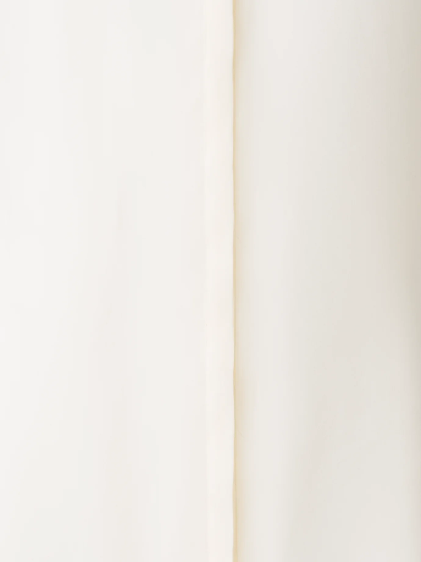 Sheer Silk Organza Blouse - Image 6